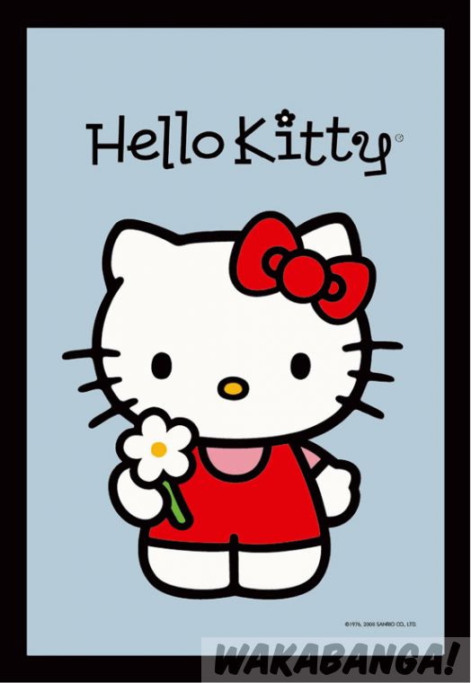 Espejo serigrafiado en color de Hello Kitty con una flor. RymanRyman