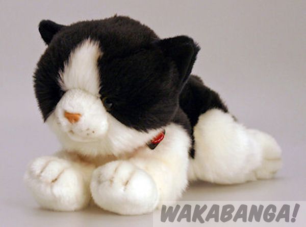 gato negro de peluche